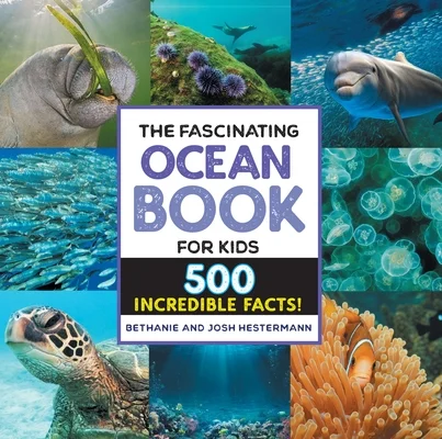 booksnthingswarehouse-11561136