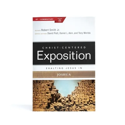 booksnthingswarehouse-11804681