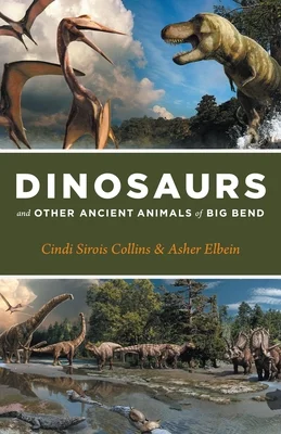 booksnthingswarehouse-11820594
