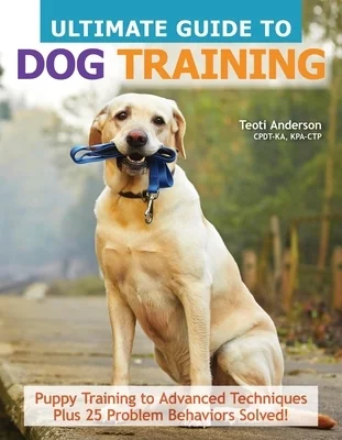booksnthingswarehouse-11901842