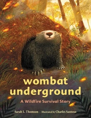 booksnthingswarehouse-21324855