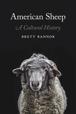 booksnthingswarehouse-31321199