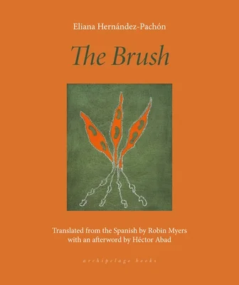 booksnthingswarehouse-31482008