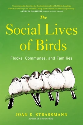 booksnthingswarehouse-31658178