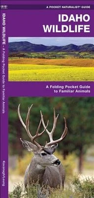 booksnthingswarehouse-31800546