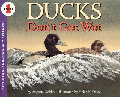 booksnthingswarehouse-31940419