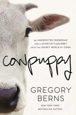 booksnthingswarehouse-32281648