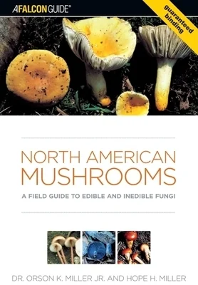 booksnthingswarehouse-41326252