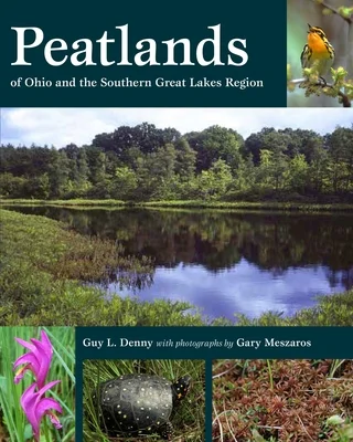 booksnthingswarehouse-41336046