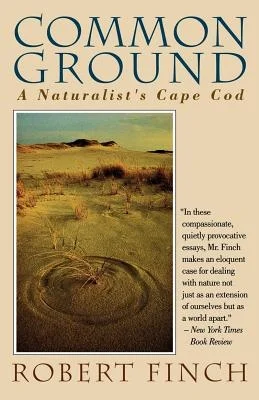 booksnthingswarehouse-41633397