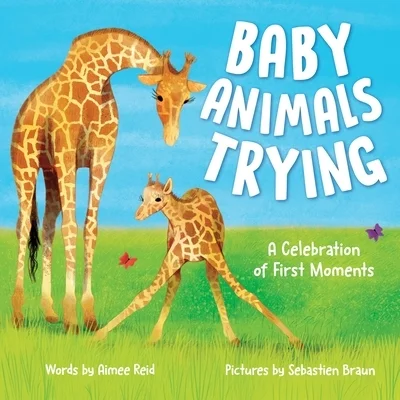 booksnthingswarehouse-41720198