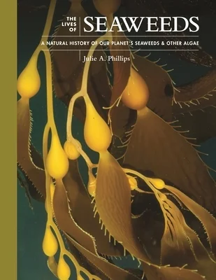 booksnthingswarehouse931742