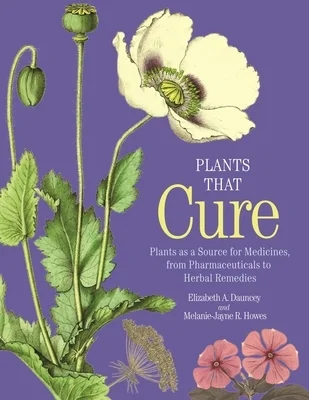 booksnthingswarehouse952846