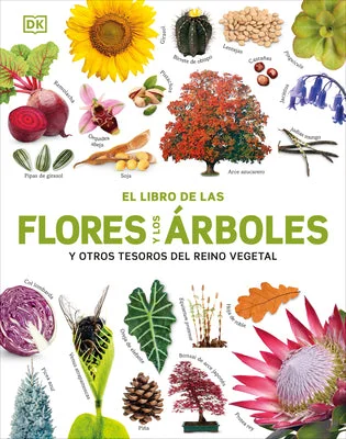 flowerburst-21076295