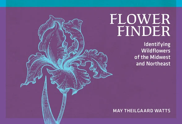 flowerburst-21183159