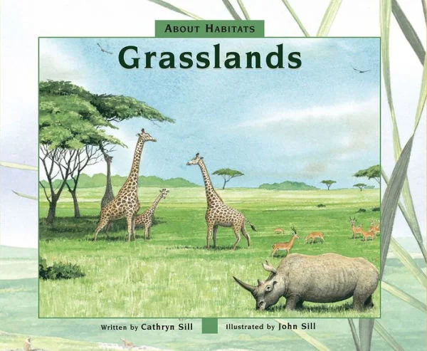massivebookshop-42380400