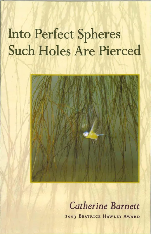 roundaboutbookstore-11436709