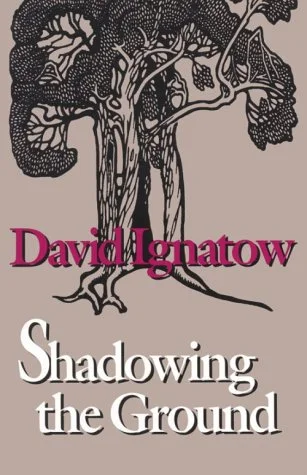 roundaboutbookstore-11440504