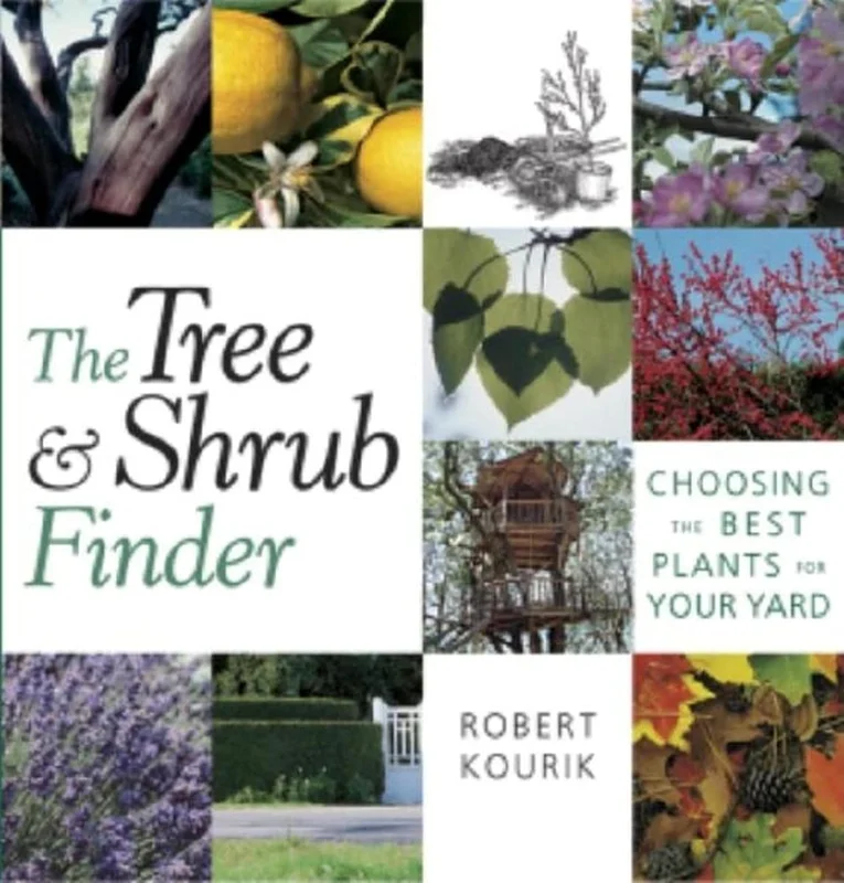 roundaboutbookstore-11615349