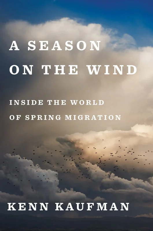 roundaboutbookstore-11659895