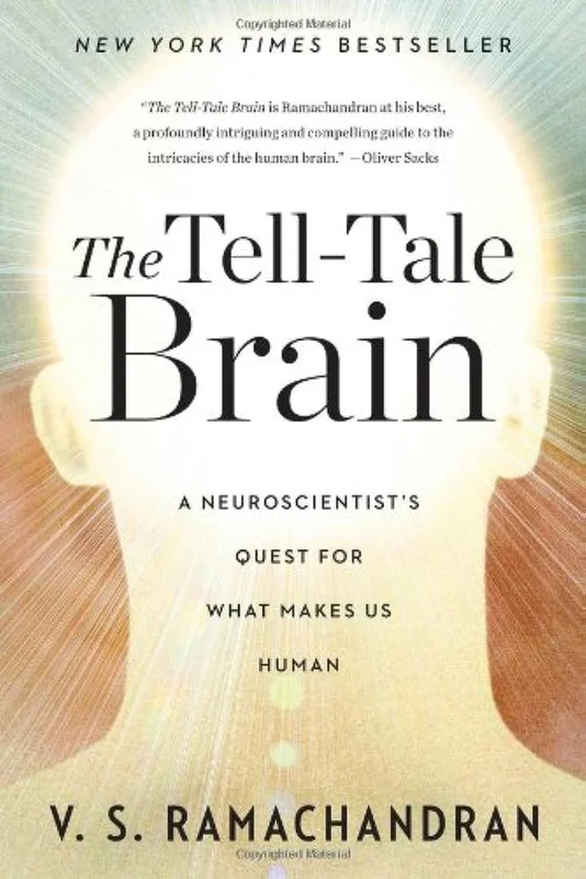 roundaboutbookstore-11740360