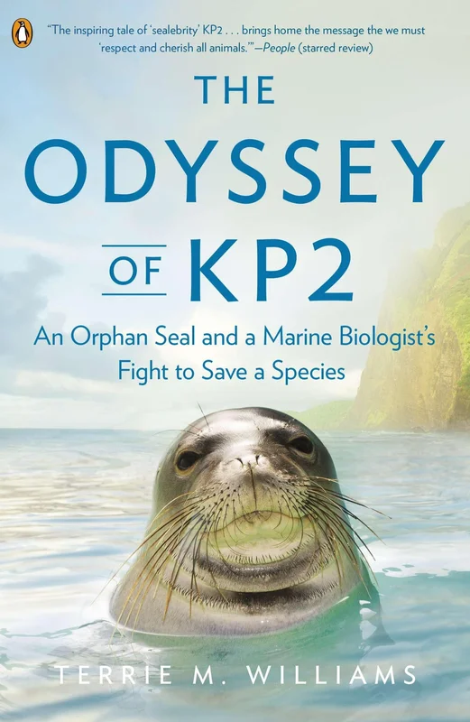 roundaboutbookstore-11759899