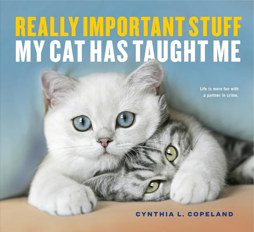 roundaboutbookstore-11776142