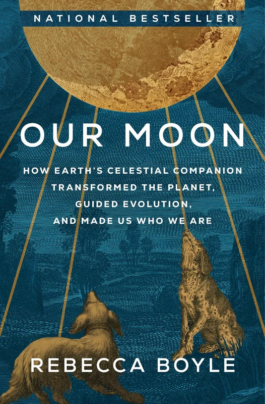 roundaboutbookstore-11795133