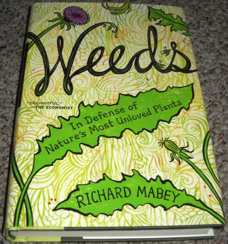 roundaboutbookstore-11863128