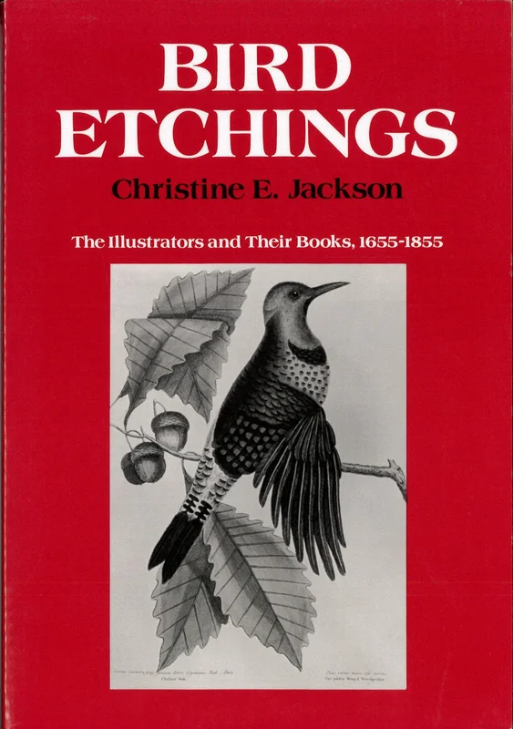 roundaboutbookstore-11876171