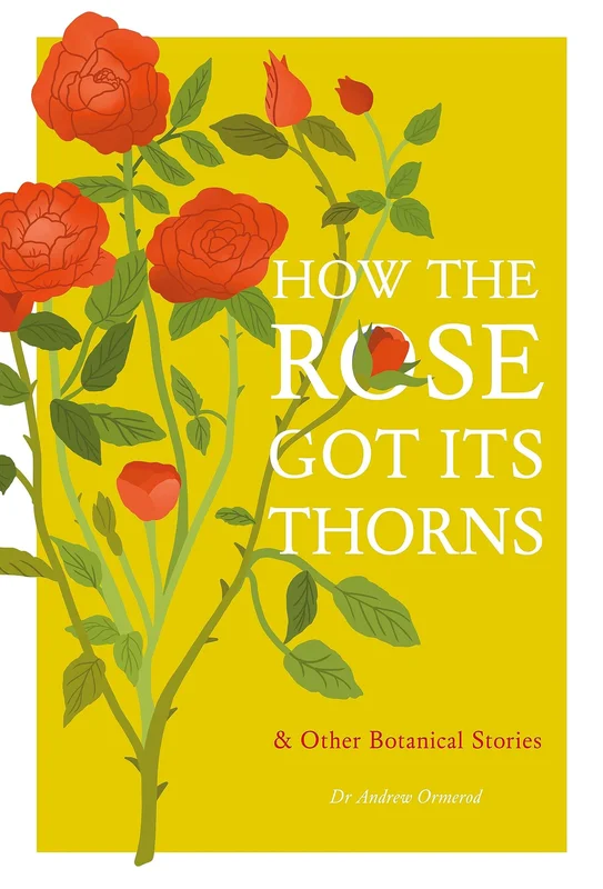 roundaboutbookstore1057497