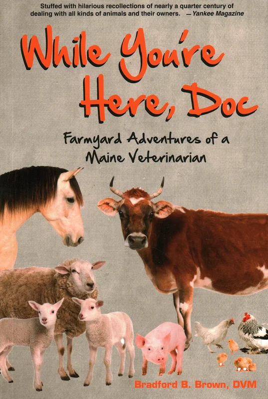 roundaboutbookstore1172700