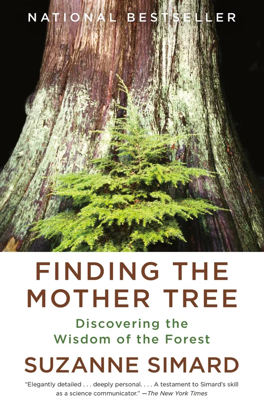 roundaboutbookstore1262055