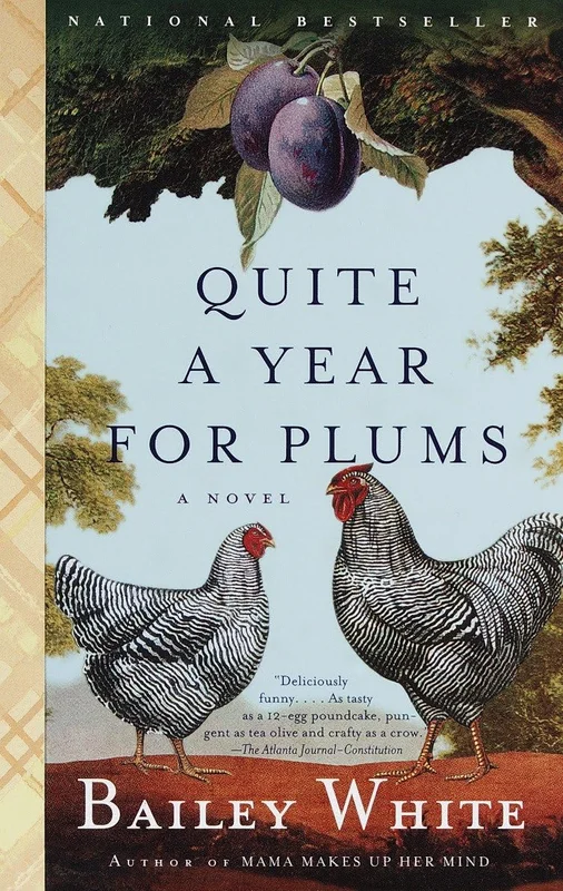 roundaboutbookstore1349502