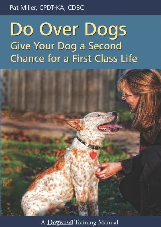 roundaboutbookstore1372580