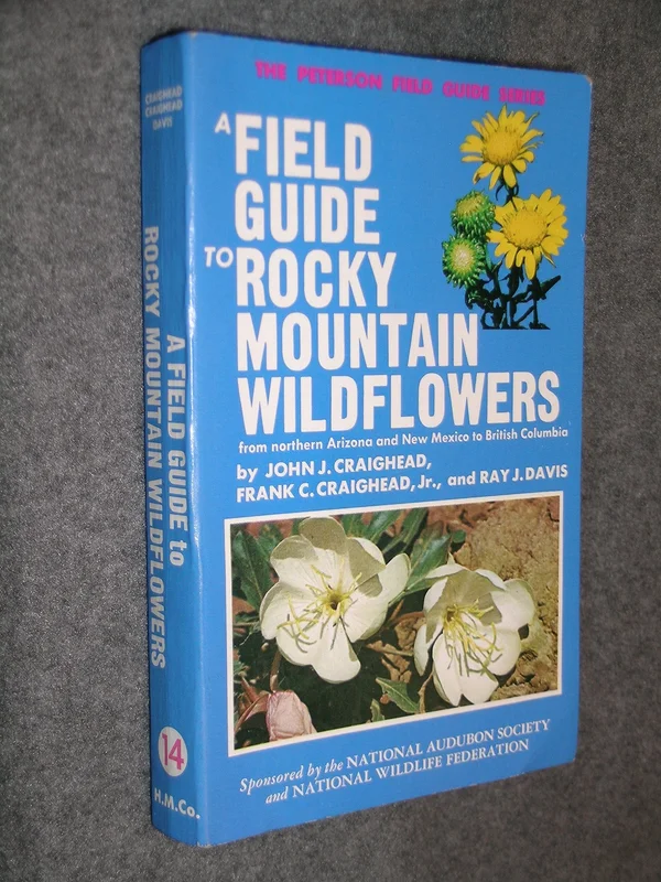 roundaboutbookstore1374346