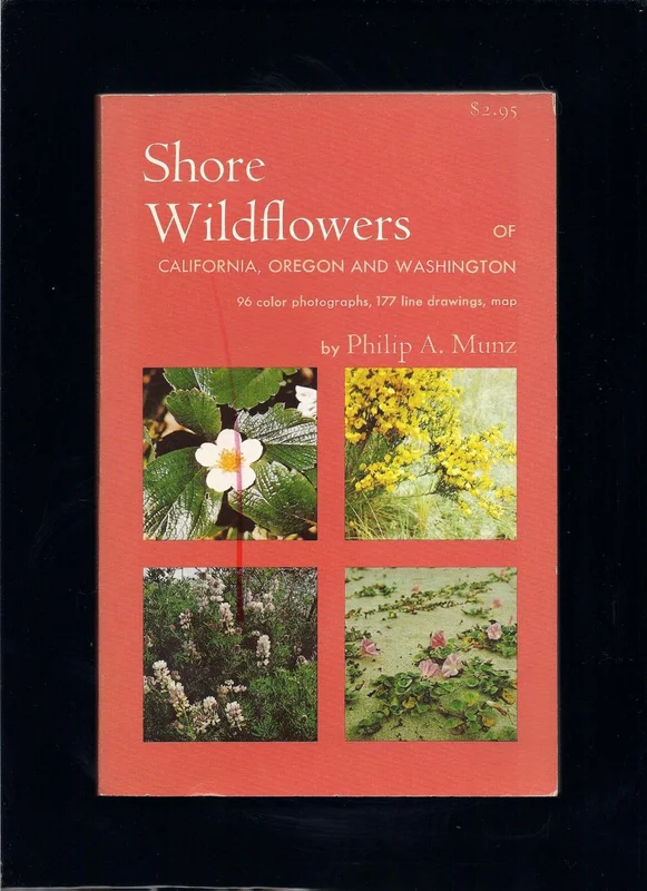 roundaboutbookstore1374485