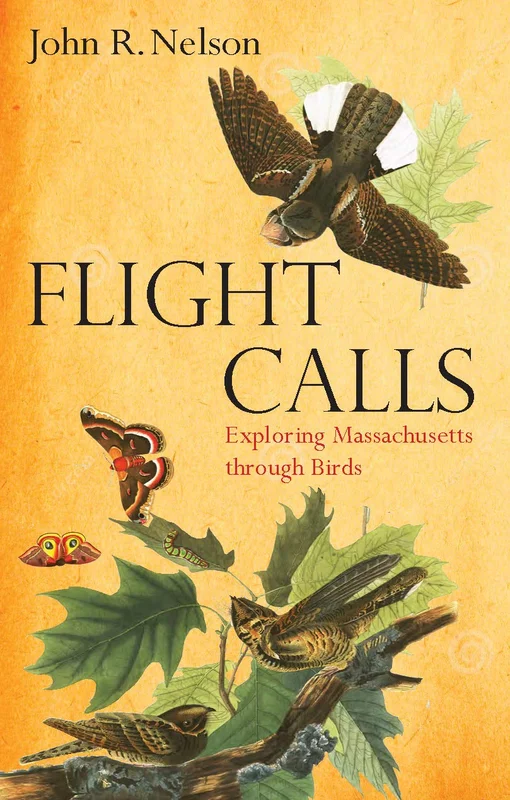roundaboutbookstore1375770