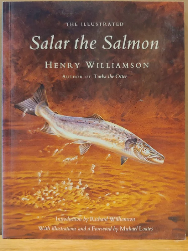 roundaboutbookstore1376504