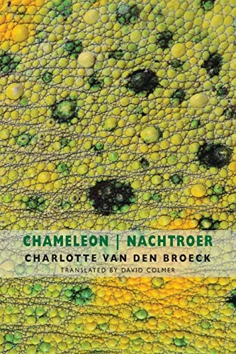 roundaboutbookstore934979