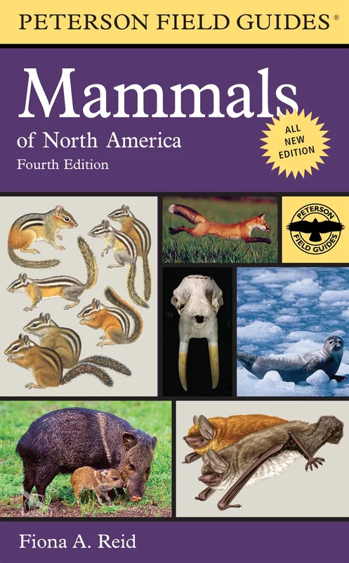 roundaboutbookstore954024