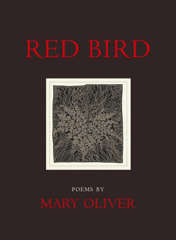 roundaboutbookstore960800