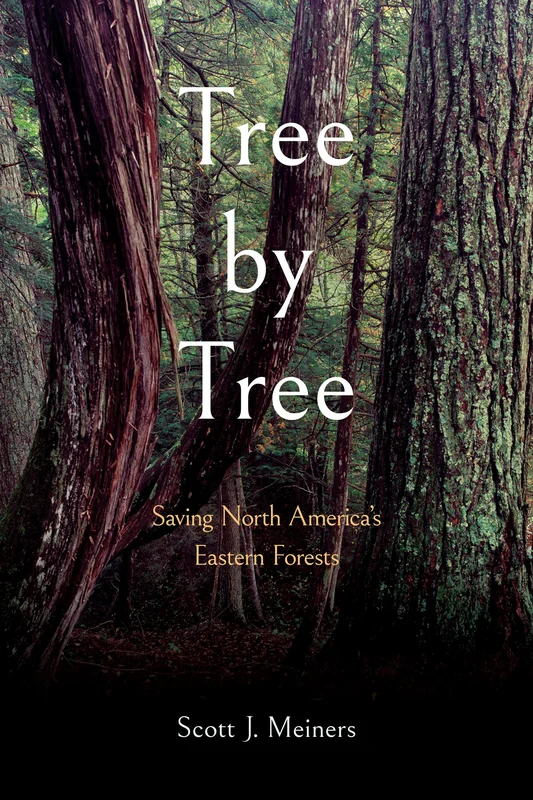roundaboutbookstore985810