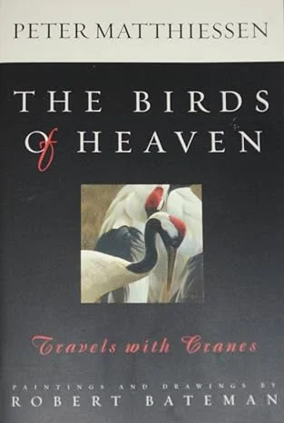 welibooks904083